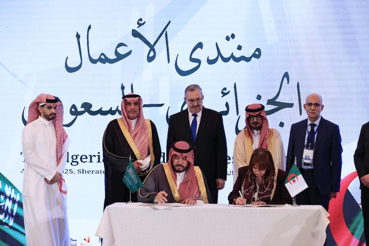 الجزائر السعدوية